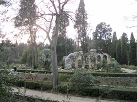botanical garden