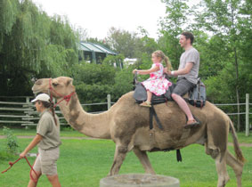 Camel ride, Alie & Alex