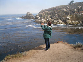 Point Lobos Emi Dahl