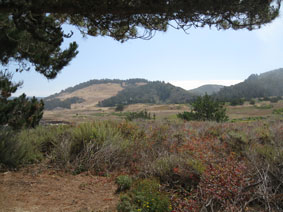 hills behind Point Lobos