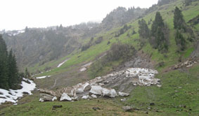 remains of an avalanche