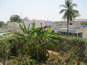 view of CK Pura