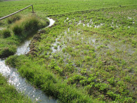 irrigation from wells