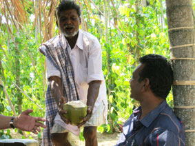 farmer offering coconut