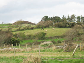 views near Sligo