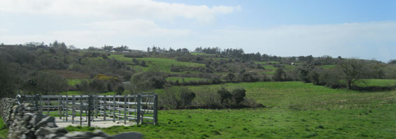 Irish countryside