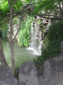 Fudan University gardens