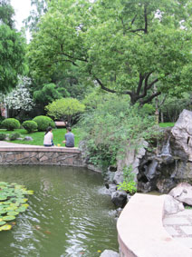 Fudan University gardens