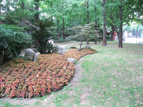 Fudan University gardens