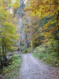 hike up to Sur Bayard, waterfall