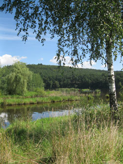 along the Vitavou River, Hluboka