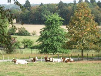 Domaine de la Garde