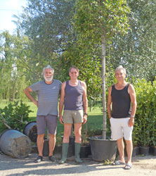 with newly delivered trees