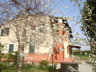 house and cherry tree