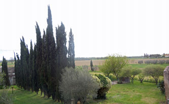 view from the house