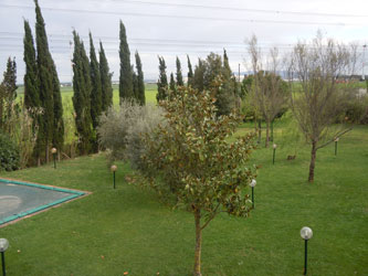 view of the garden and pool