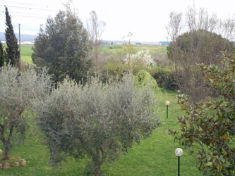 view of the garden
