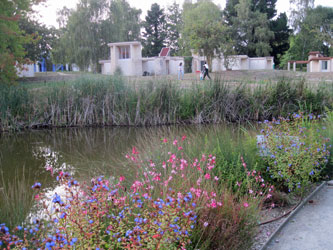 the gardens and ponds