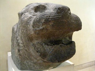 head of a lion