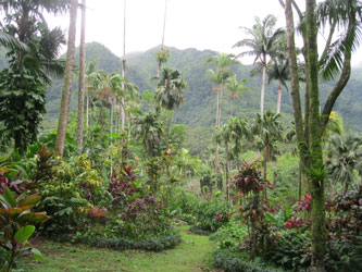 Botanical Garden