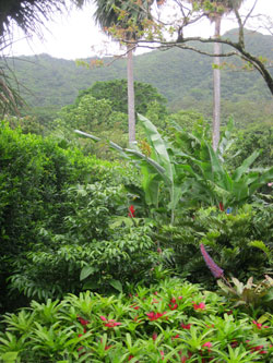 Botanical Garden