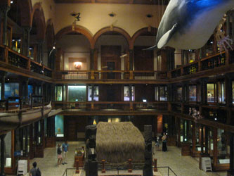 Bishop Museum