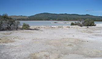 Lake Rotorua