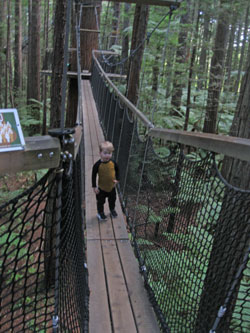 Kobe on Redwood walkway