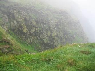 Shetland Islands, cliffs