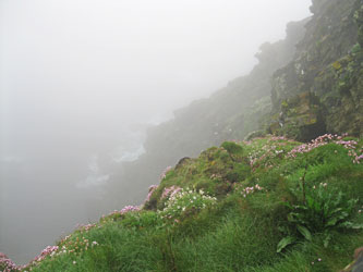 Shetland Islands, cliffs