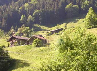 Swiss farm