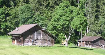 Old Swiss farm