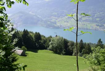 Looking down on Walensee