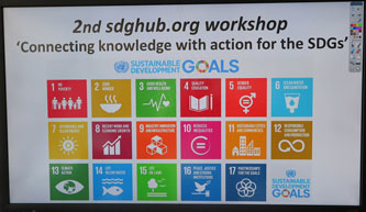 SDG workshop