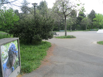 back entrance to the park