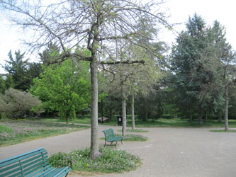 Parc des Franchises